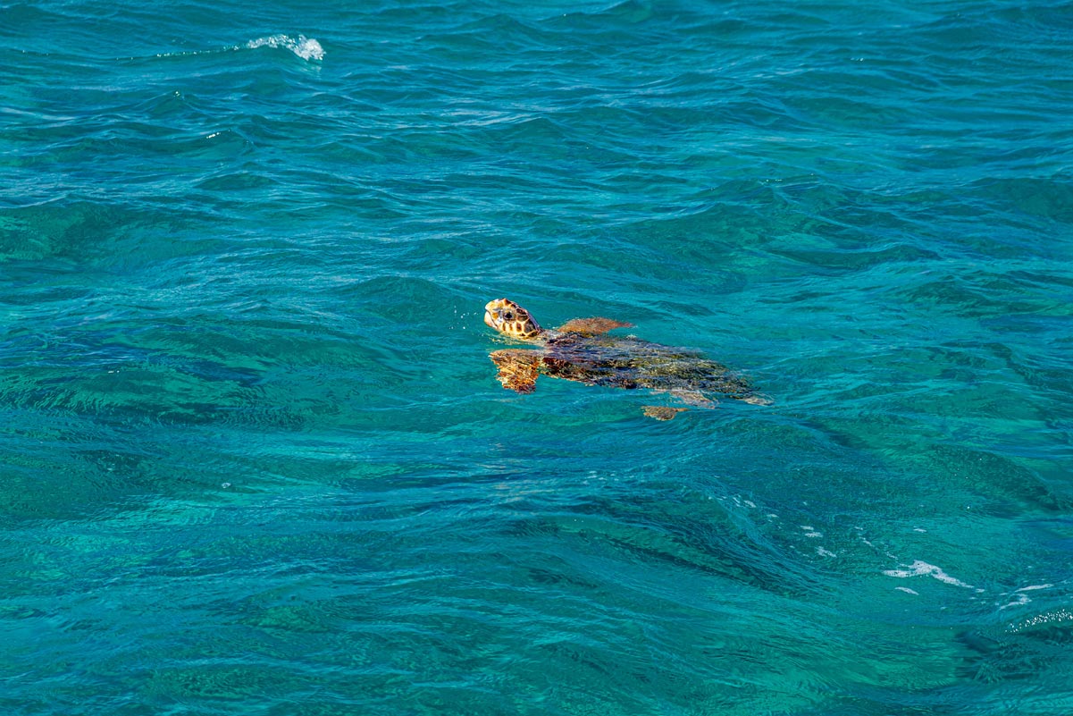 Zakynthos travel guide
